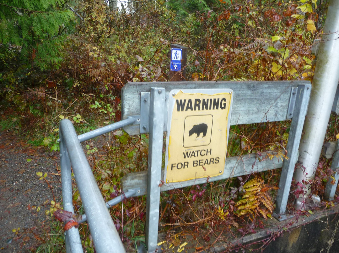 Big Qualicum Hatchery景点图片