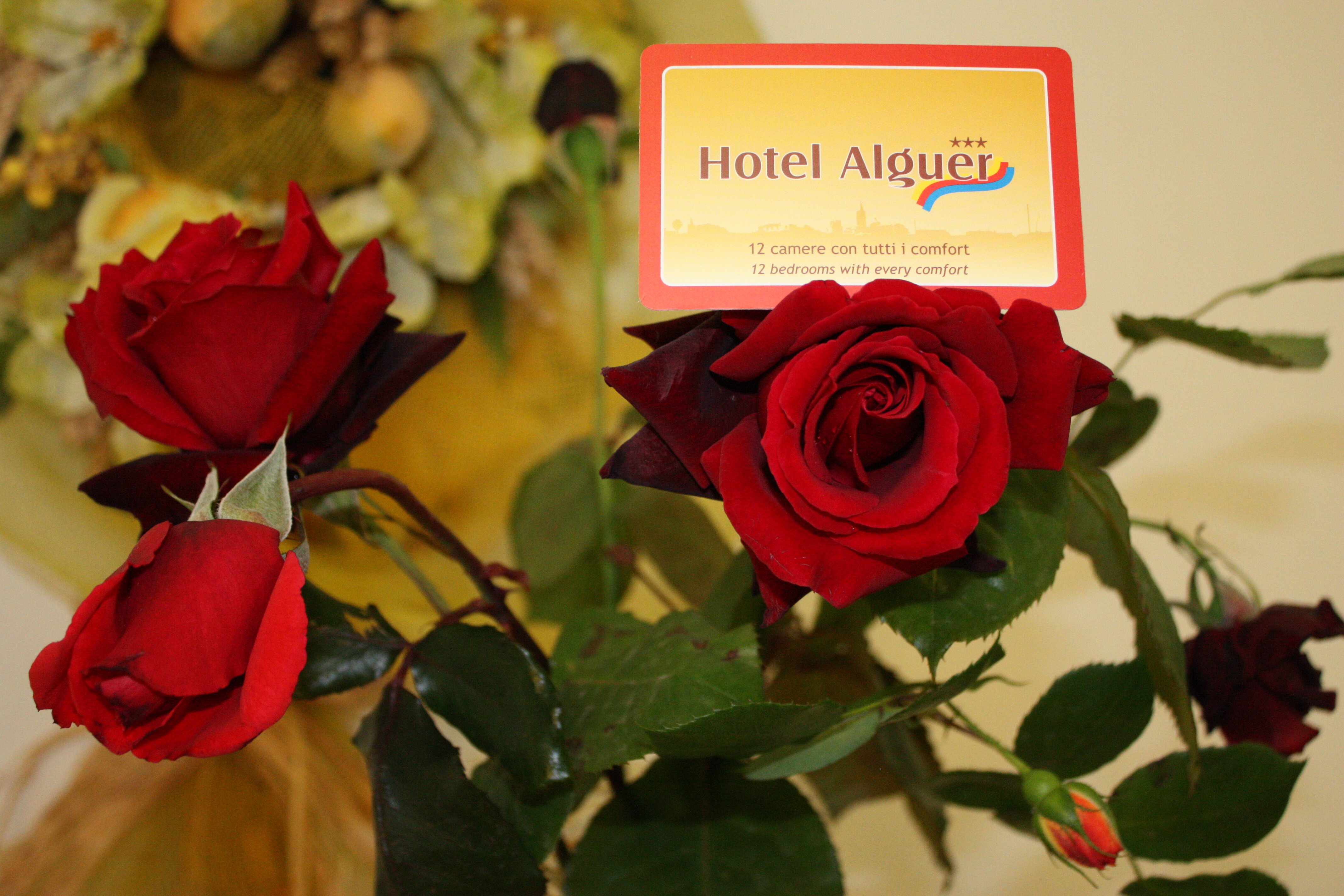 Hotel Alguer-官方