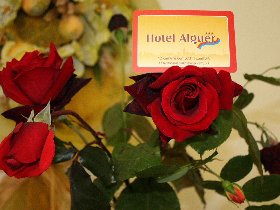阿尔盖罗酒店住宿-Hotel Alguer