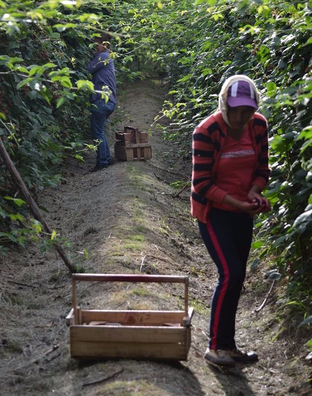 Chacra La Piedad-Plottier必去景点
