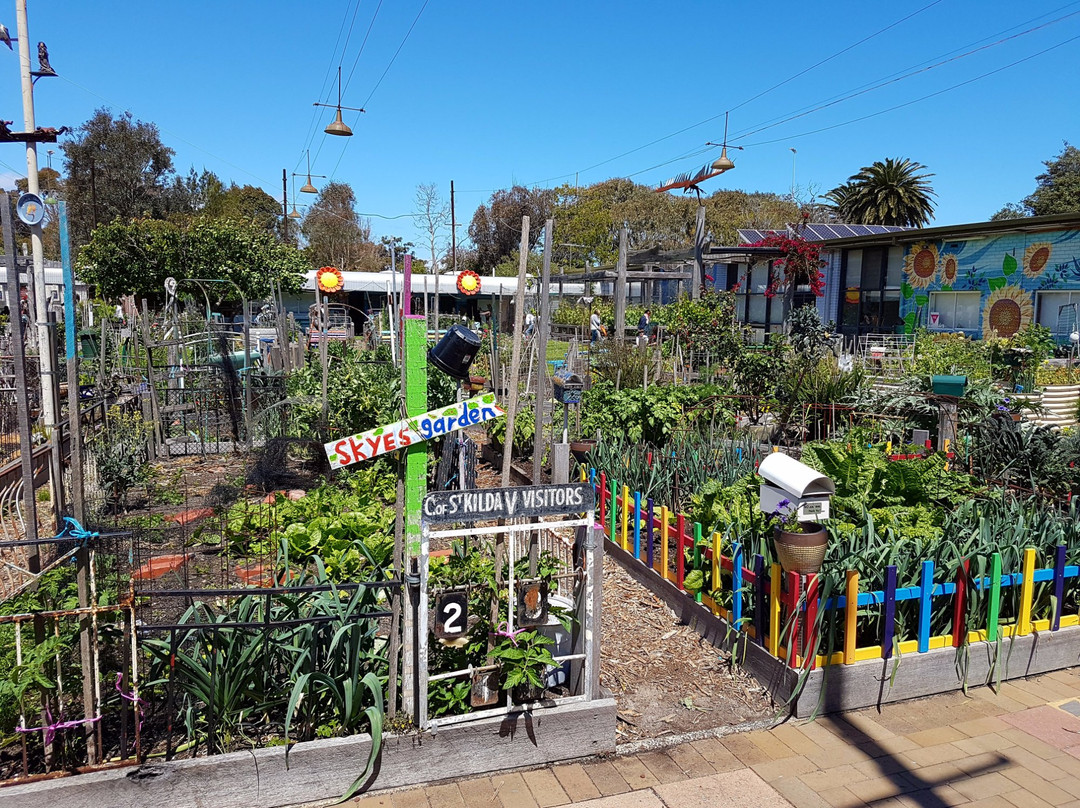 Veg Out Community Gardens St Kilda, Inc.景点图片