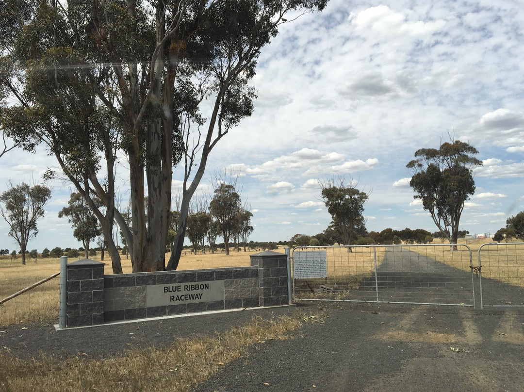 Blue Ribbon Raceway-霍舌姆必去景点