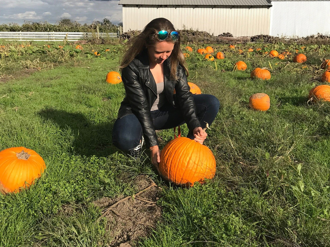 Johnston Fruit Farms-Swanton必去景点