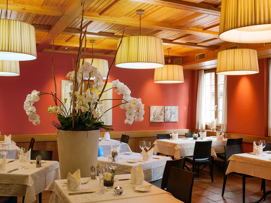 Baltenswil餐馆和美食-Restaurant Rossli