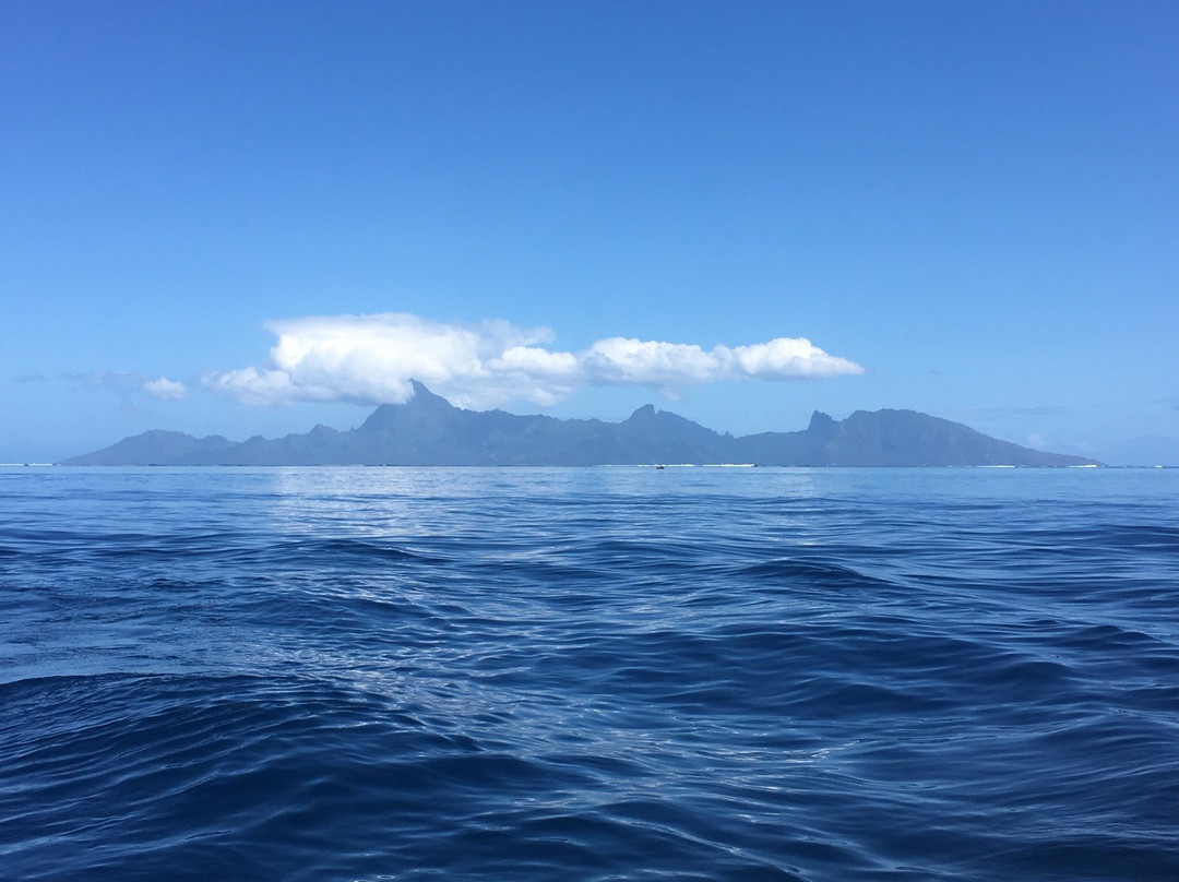 Tahiti Watersports Center景点图片