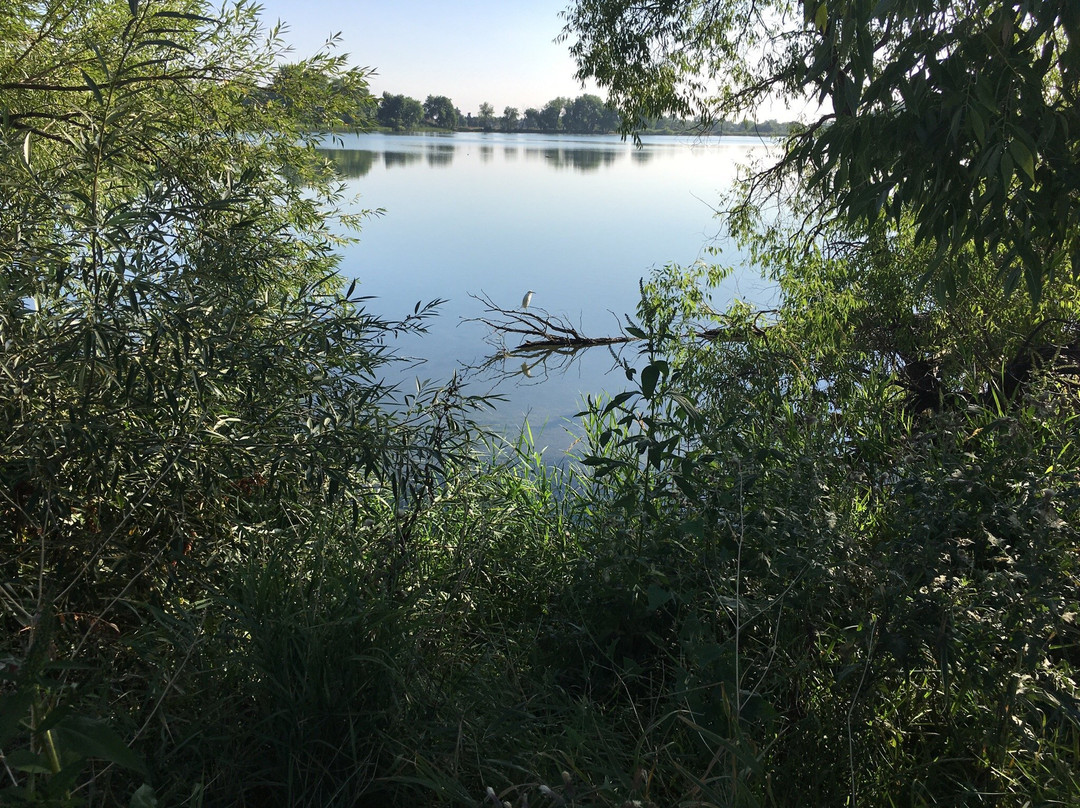 Waneka Lake Park-Lafayette必去景点