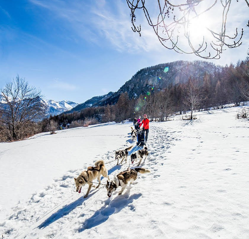 Mushing Addict景点图片