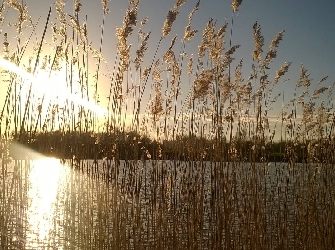 Parcs Maugrand et Saint Louis景点图片