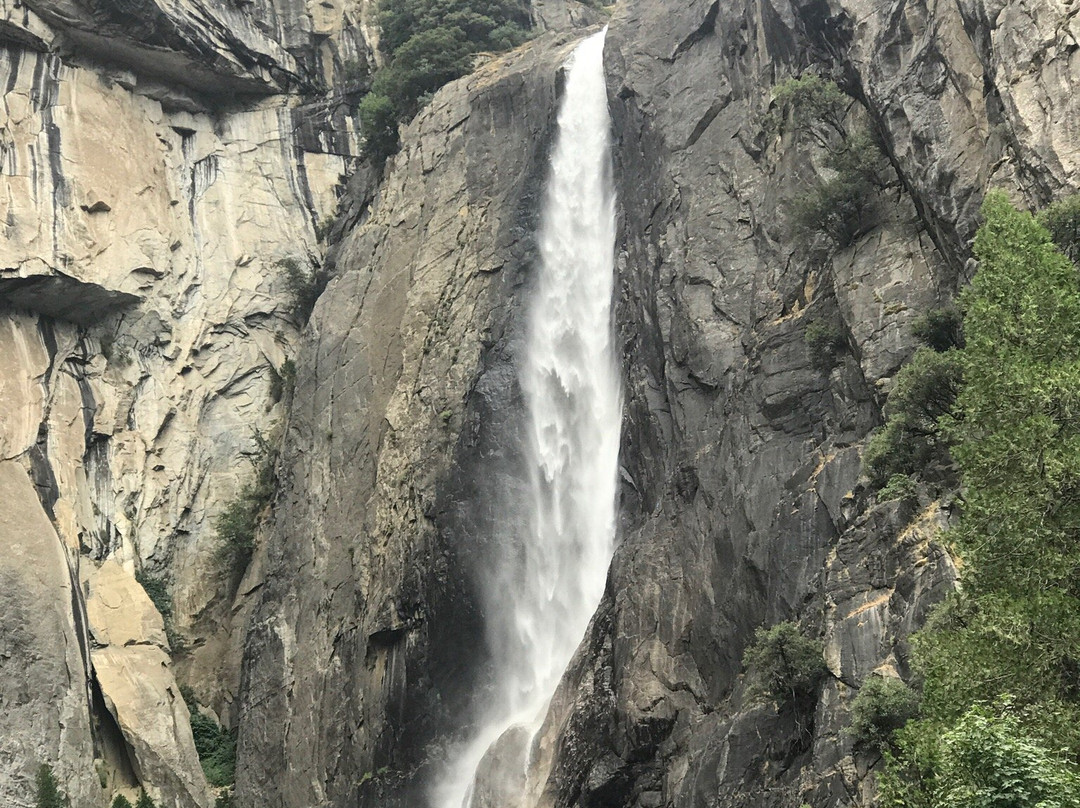 Yosemite Private Tours-优胜美地国家公园必去景点