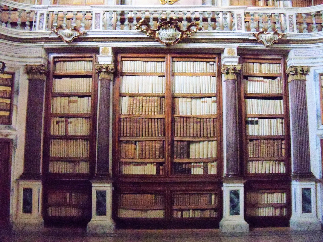 Bim Biblioteca comunale di Imola景点图片