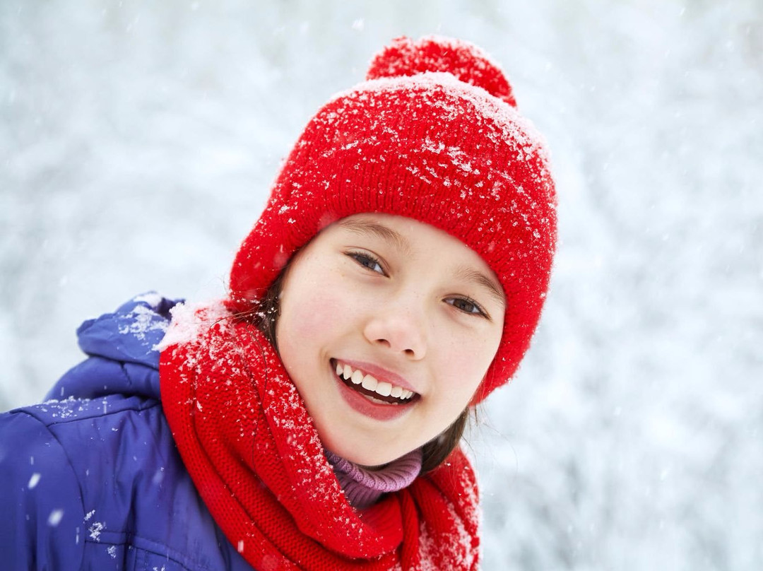 Wintergreen Dogsled Day Trips-伊利必去景点