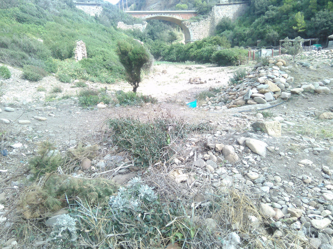 Spiaggia di Calignaia景点图片