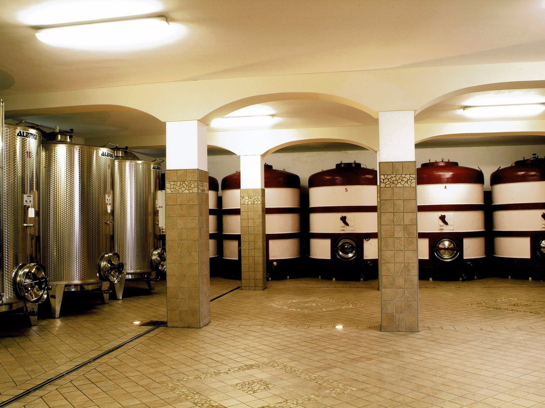 Azienda Vitivinicola Veglio Giovanni & Figli景点图片