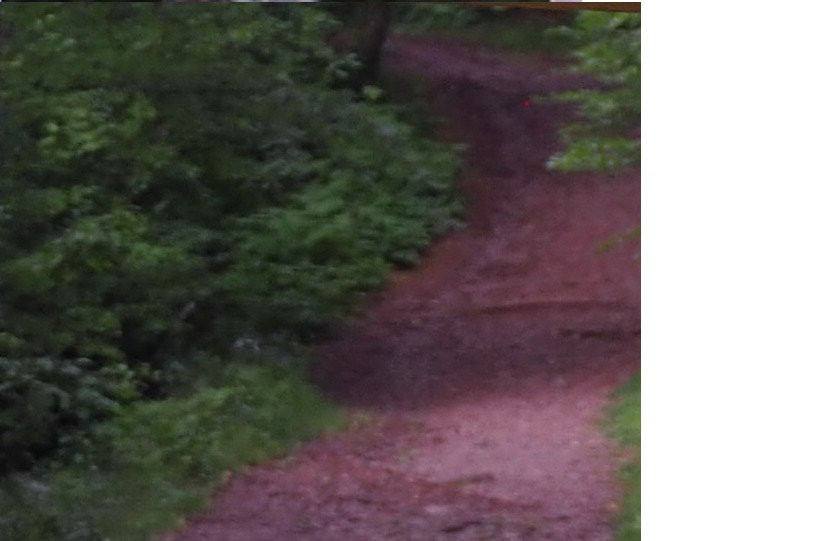 Lester Park-德卢斯必去景点