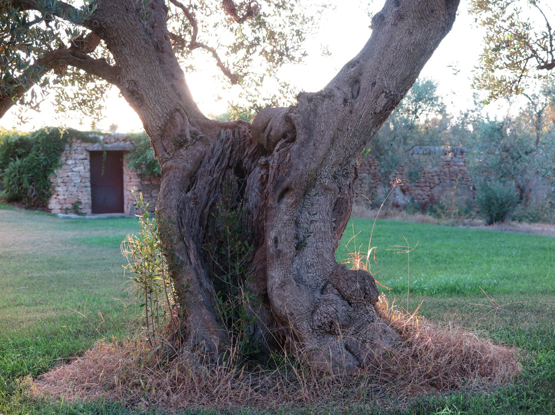 Relais Terre di Terre