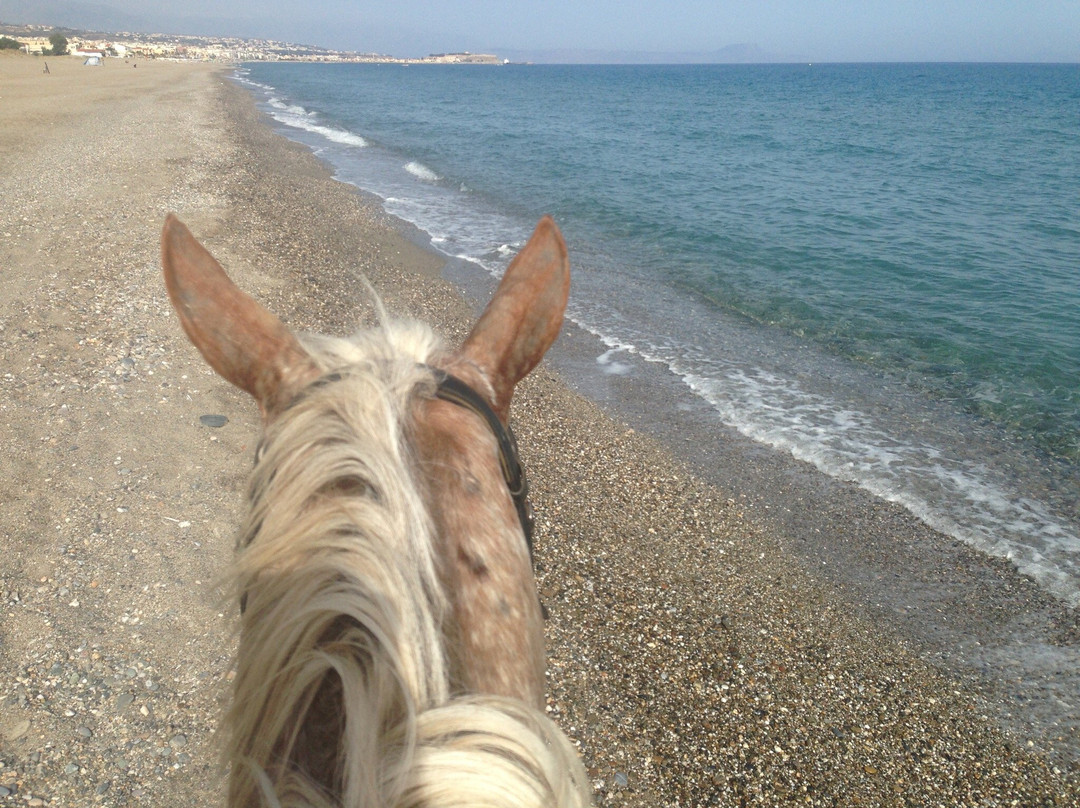 Horse Park Rethymno-Platanias必去景点