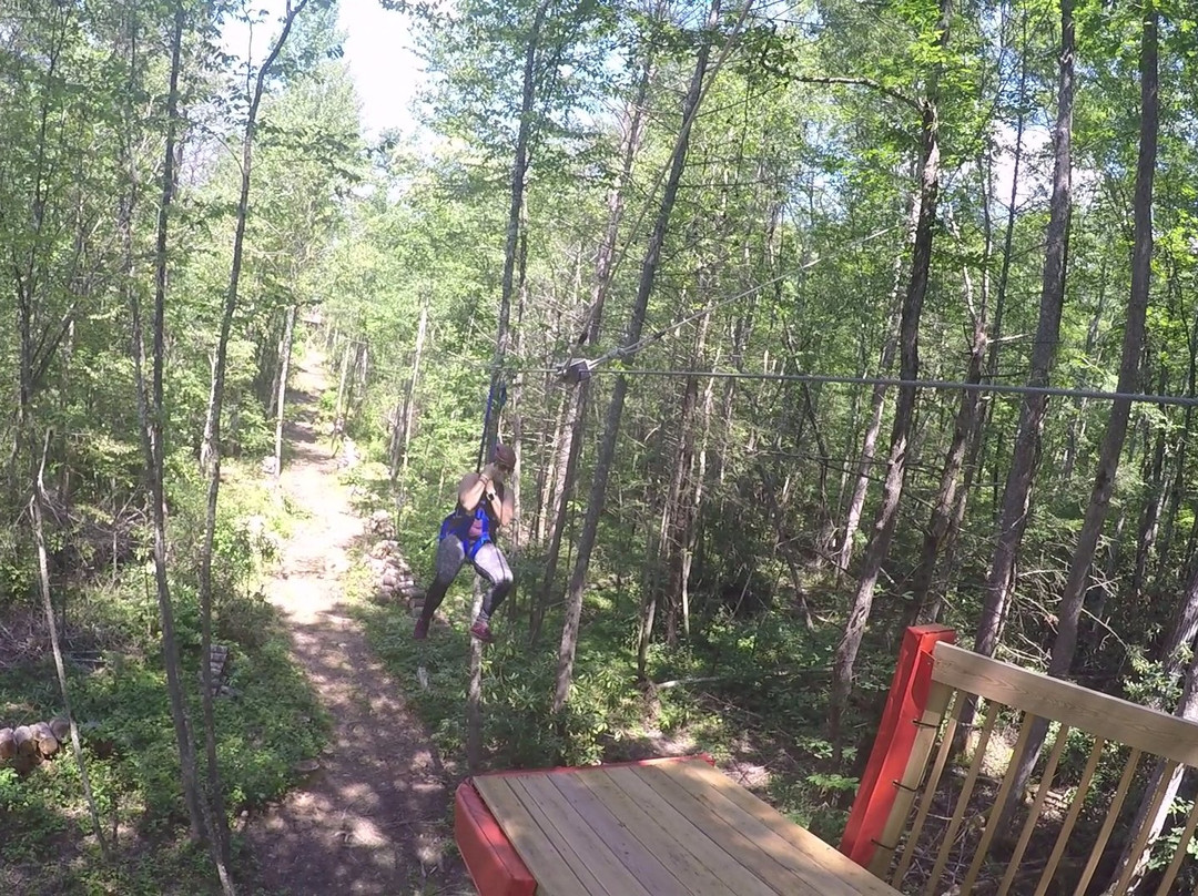 White Oak Ziplines-盖林柏格必去景点