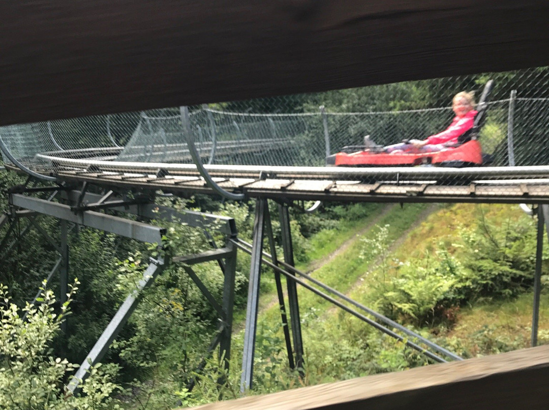 Rodelbahn am Erlebnisberg Sternrodt景点图片