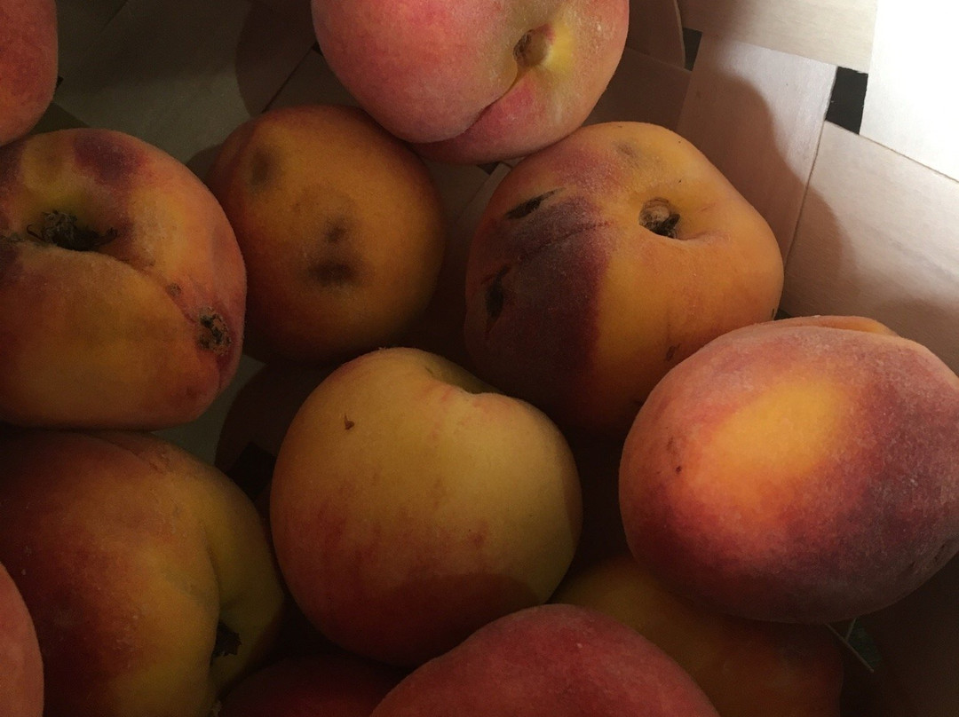 Fulton Farms-Troy必去景点