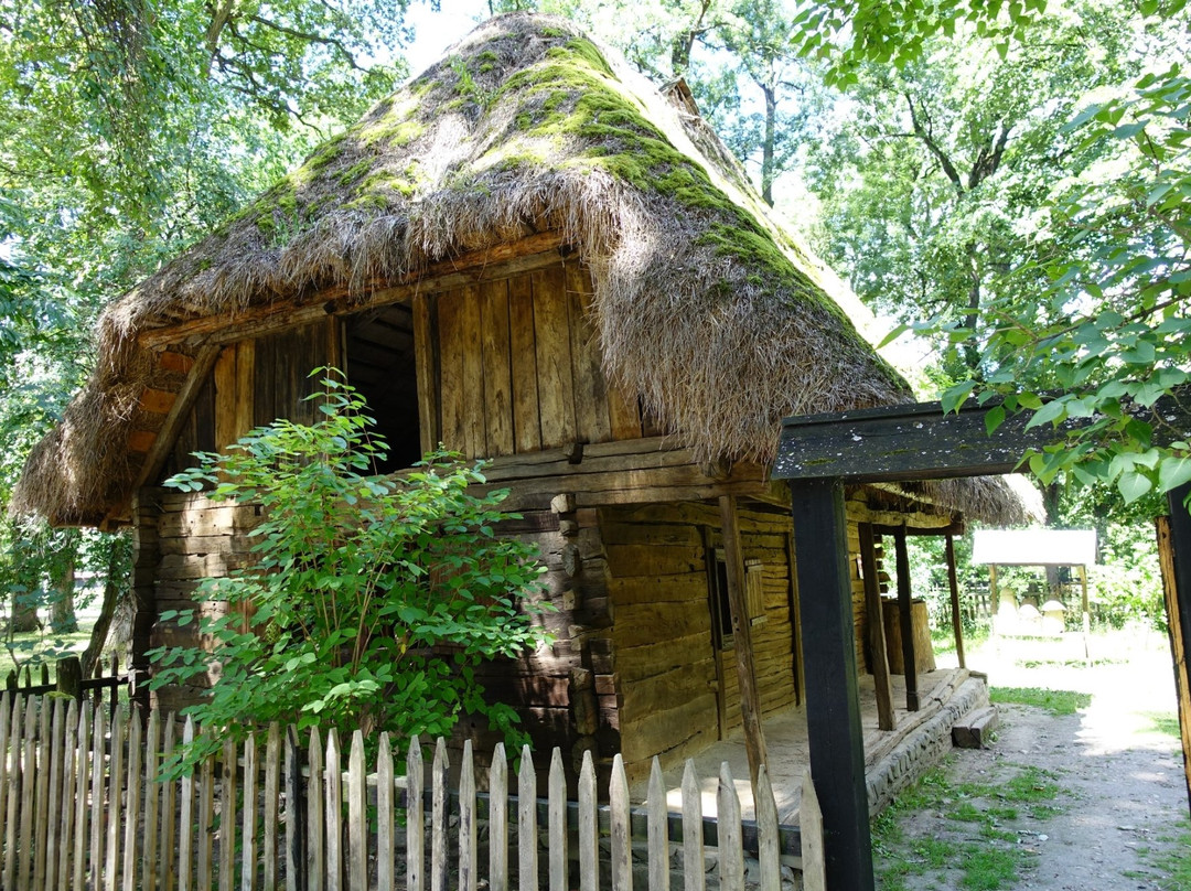 Banat Village Museum景点图片