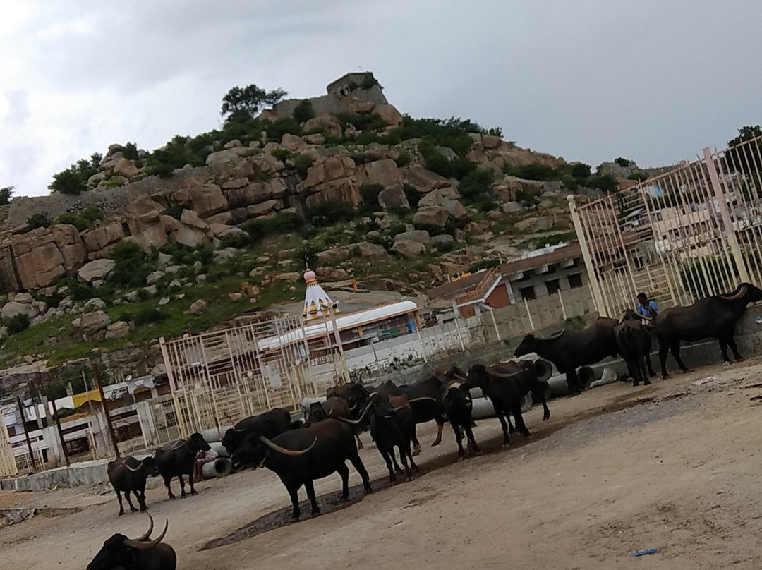 Raichur Fort景点图片