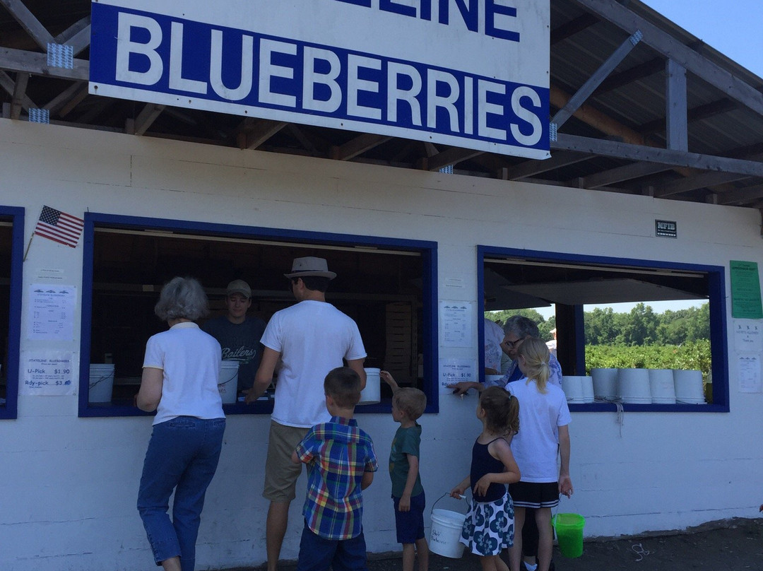 Stateline Blueberries-密歇根城必去景点