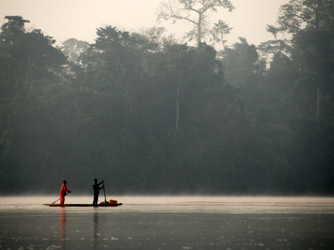 Nouabale-Ndoki National Park-Sangha Department必去景点