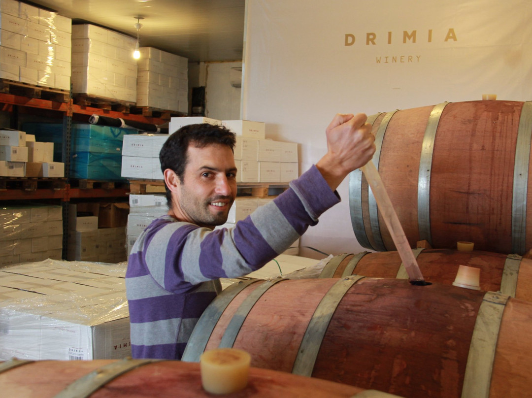 Drimia Winery-Judaean Hills必去景点