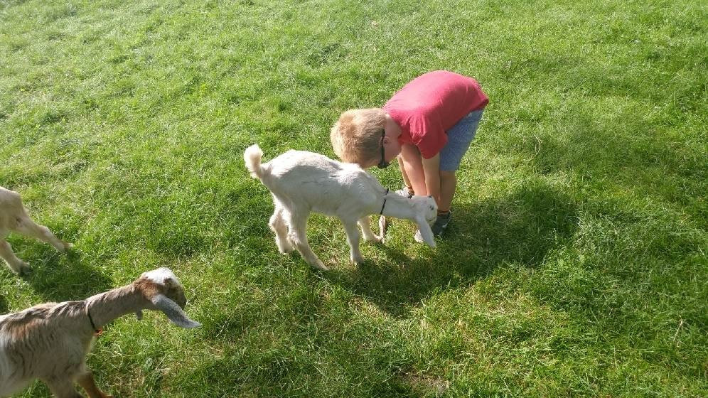 Friendly Farm-Dublin必去景点