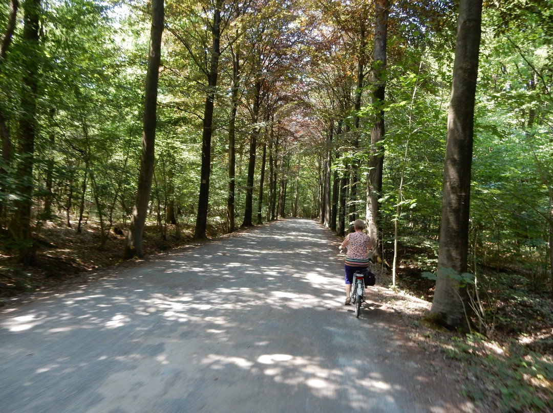 Drongengoed Bicycle Trail景点图片