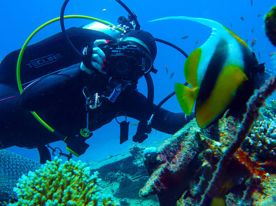 Fun Dive-埃拉特必去景点