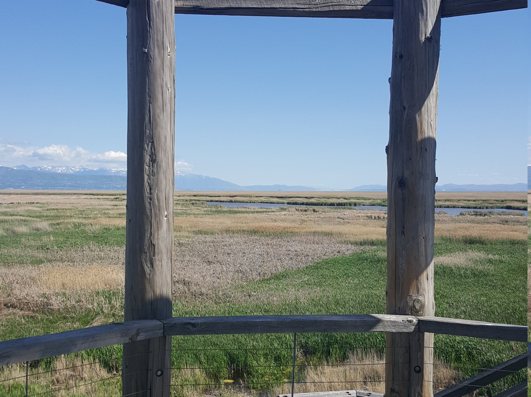 Great Salt Lake Shorelands Preserve-莱顿必去景点