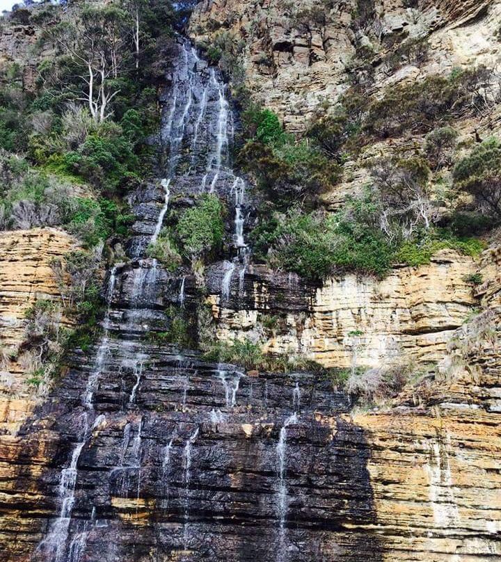 Wild Island Tasmania-霍巴特必去景点
