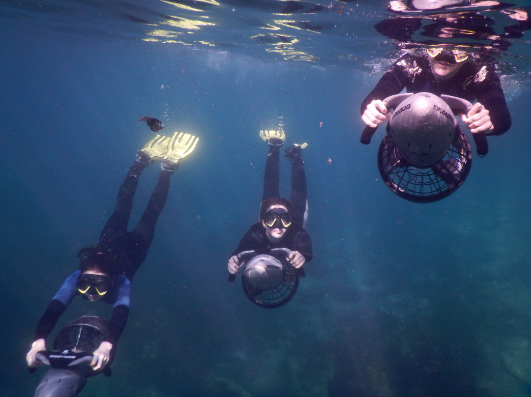 Sydney Underwater Scooter Tours-悉尼必去景点