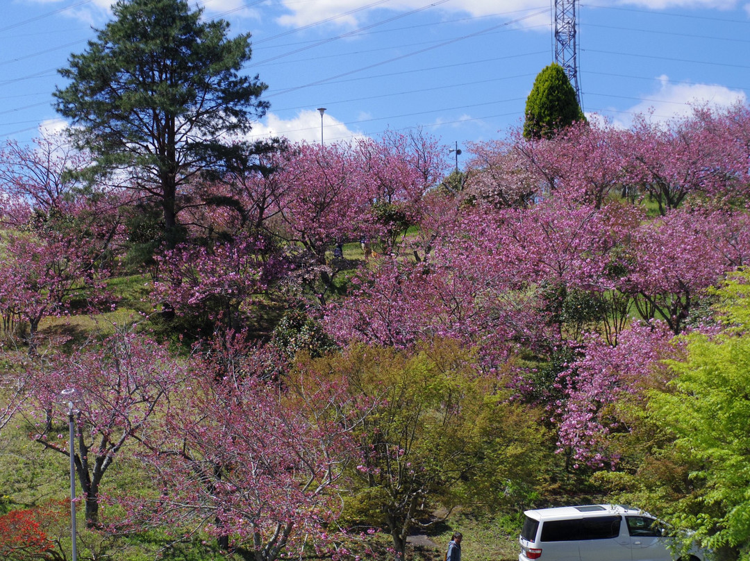 Shizumine Furusato Park景点图片