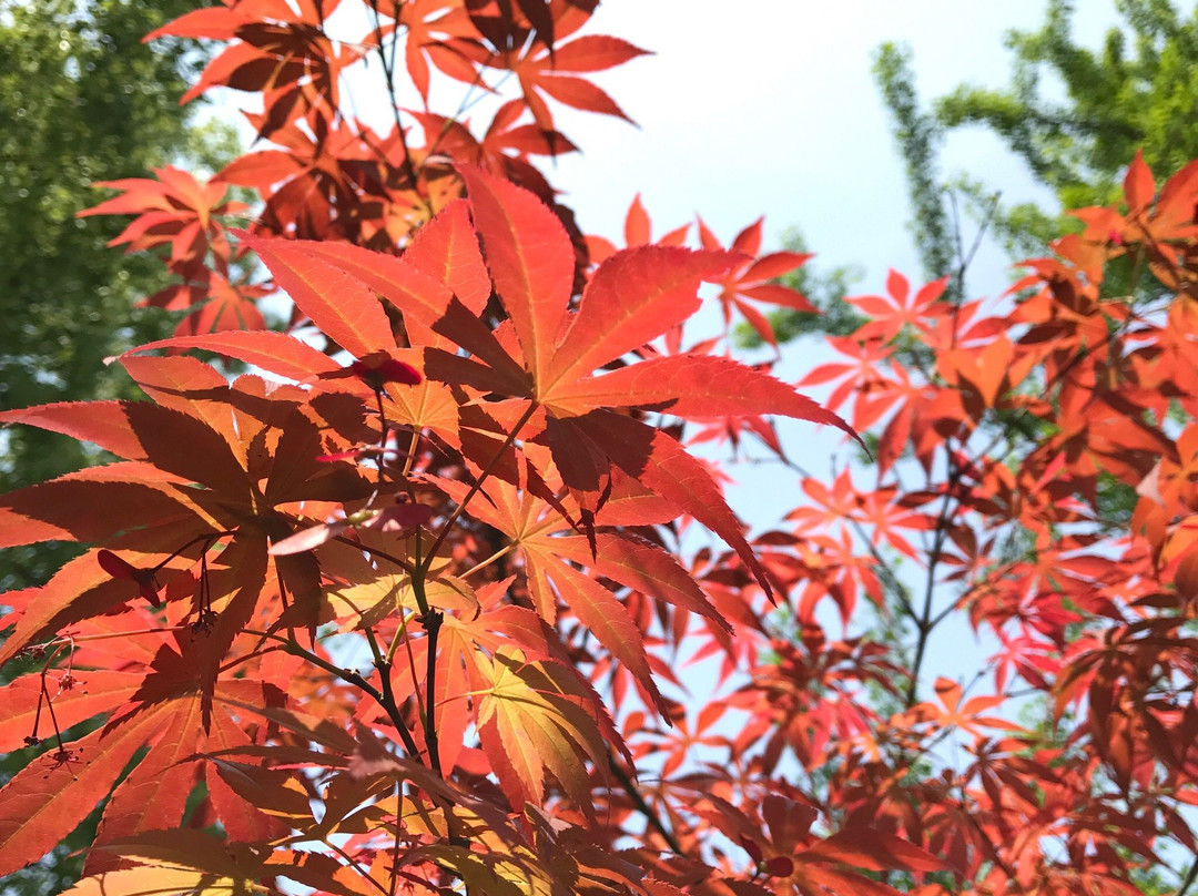 佛心广场-新昌县必去景点