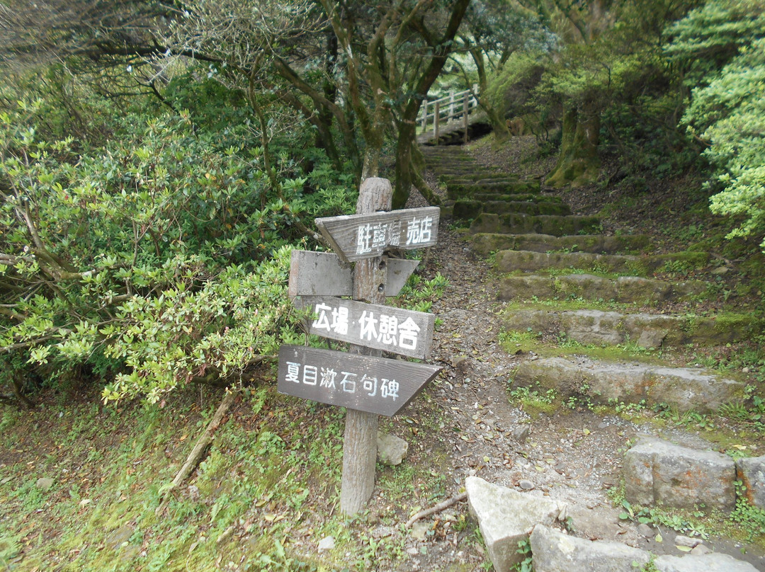 Kurume Forest Tsutsuji Park景点图片