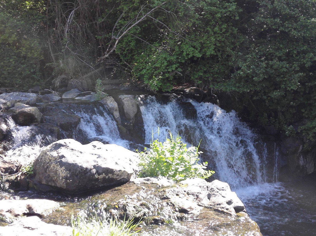 Cascata del Salabrone-Farnese必去景点