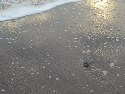 Cooltour Costa Rica-Naranjo必去景点