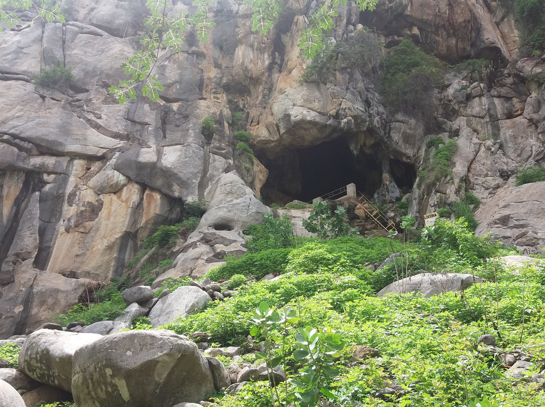 Portalegre旅游攻略图片