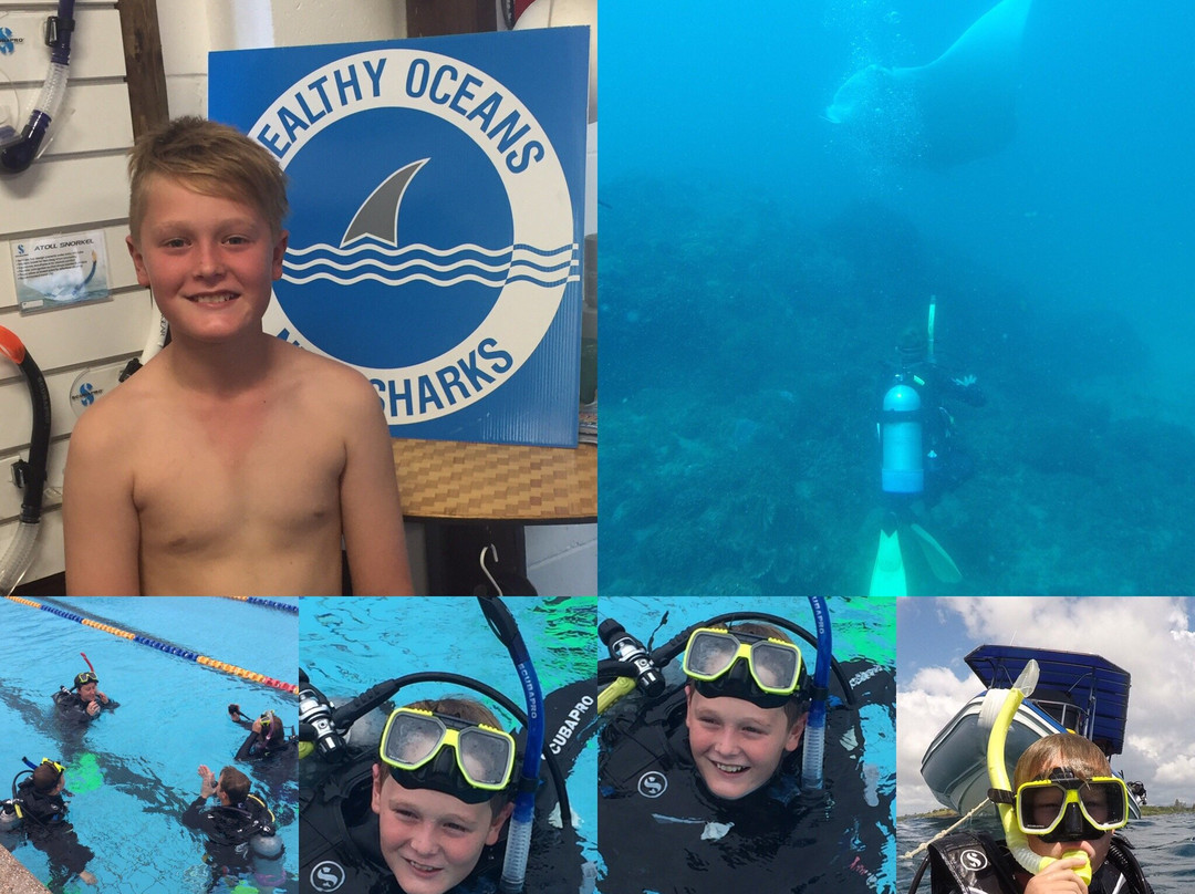 Tweed Sea Sports-堤维德岬必去景点