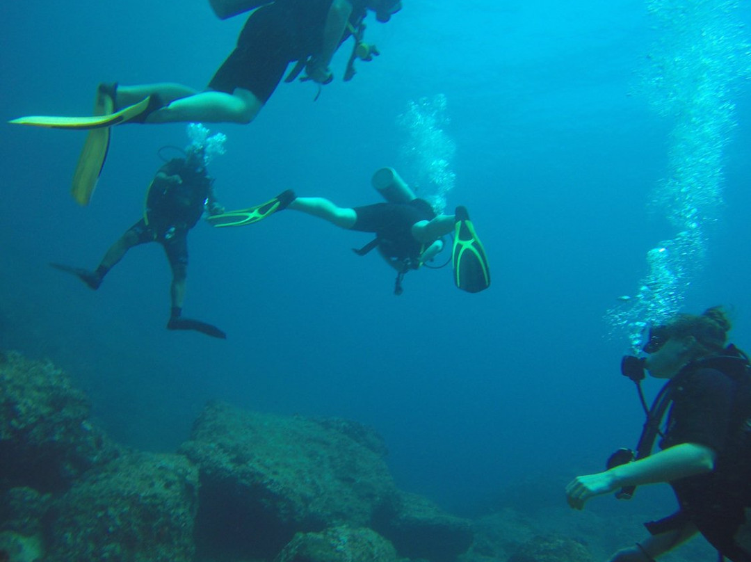 Myanmar SubSea Divers-内维桑必去景点