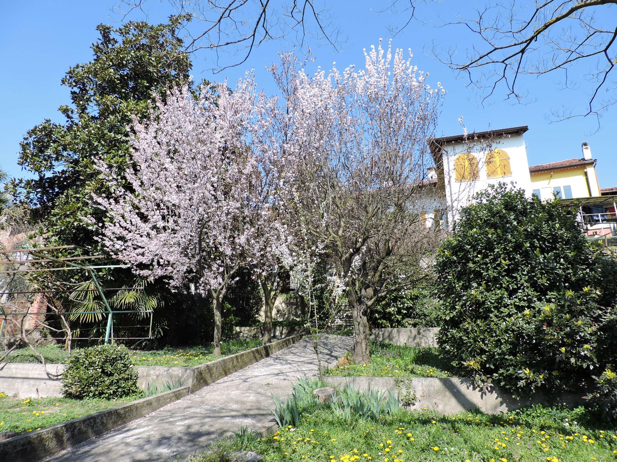 Il Giardino dei Semplici-官方