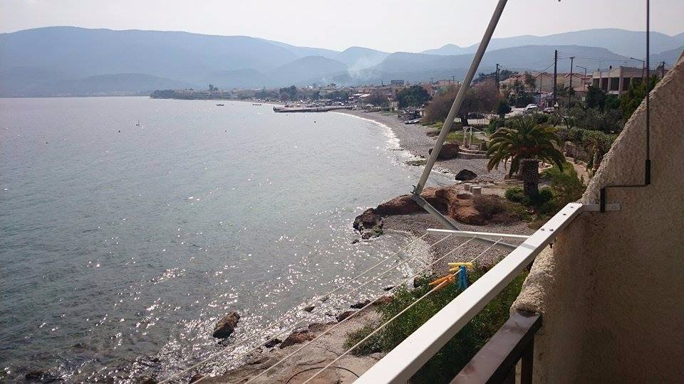 Sea View-酒店景观