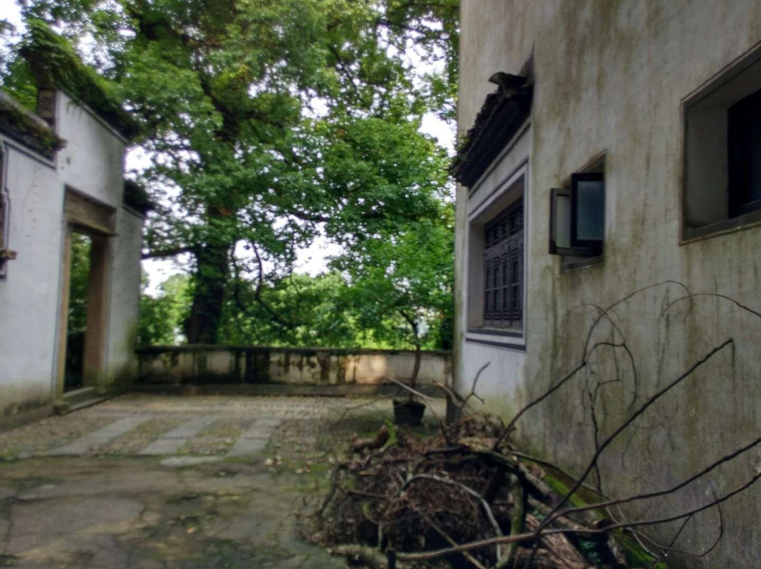 桐君山景点图片