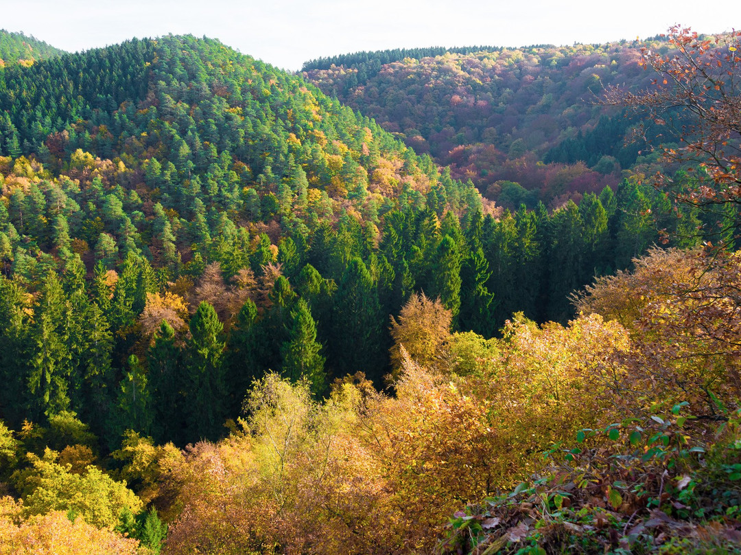 Vallee du Ninglinspo景点图片