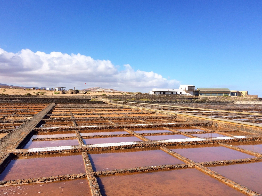 Salt Museum Salinas del Carmen景点图片