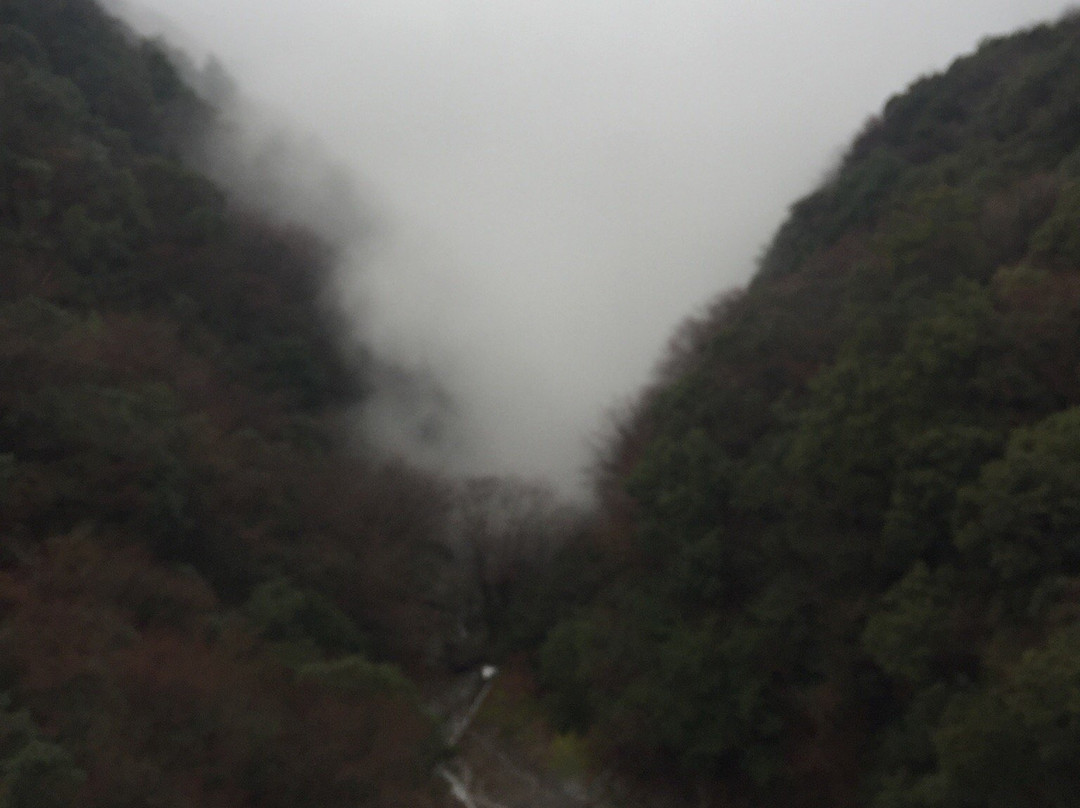 Hkuryuhi & Hakuryuo Bridge景点图片