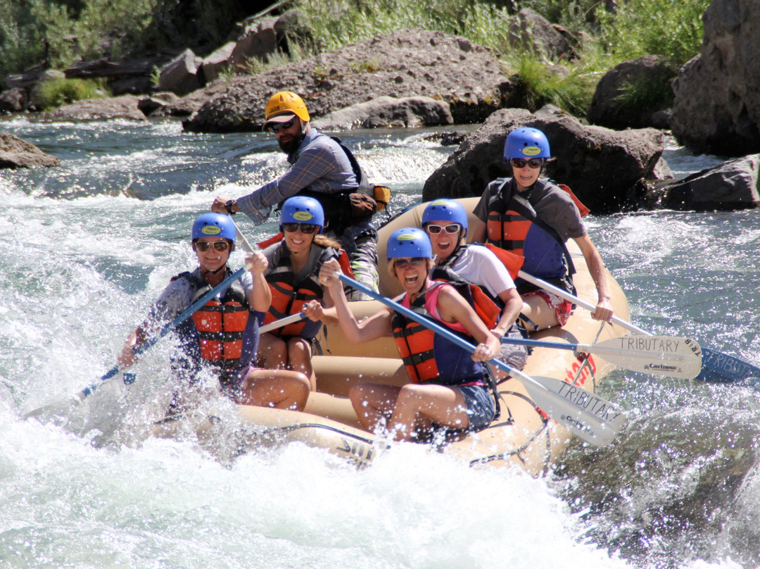 Tributary Whitewater Incredible River Experiences景点图片