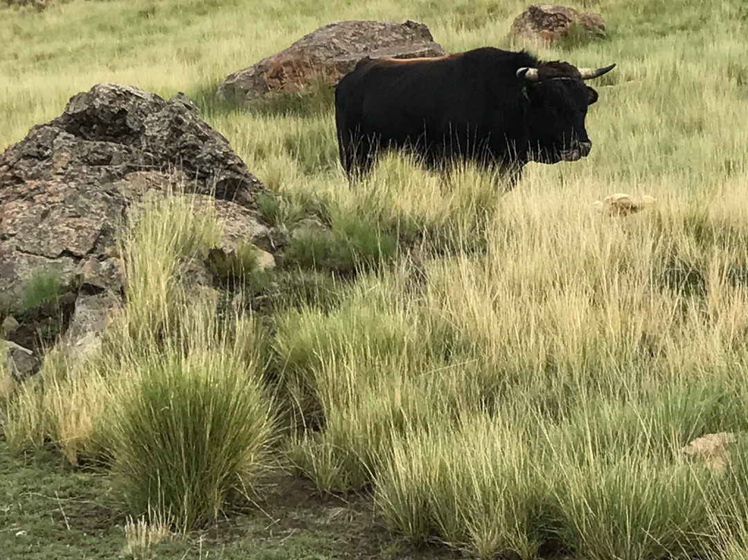 Parque Nacional Tunari-科恰班巴必去景点
